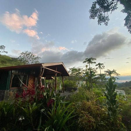 ホテル Chorotega Cabina Monteverde エクステリア 写真