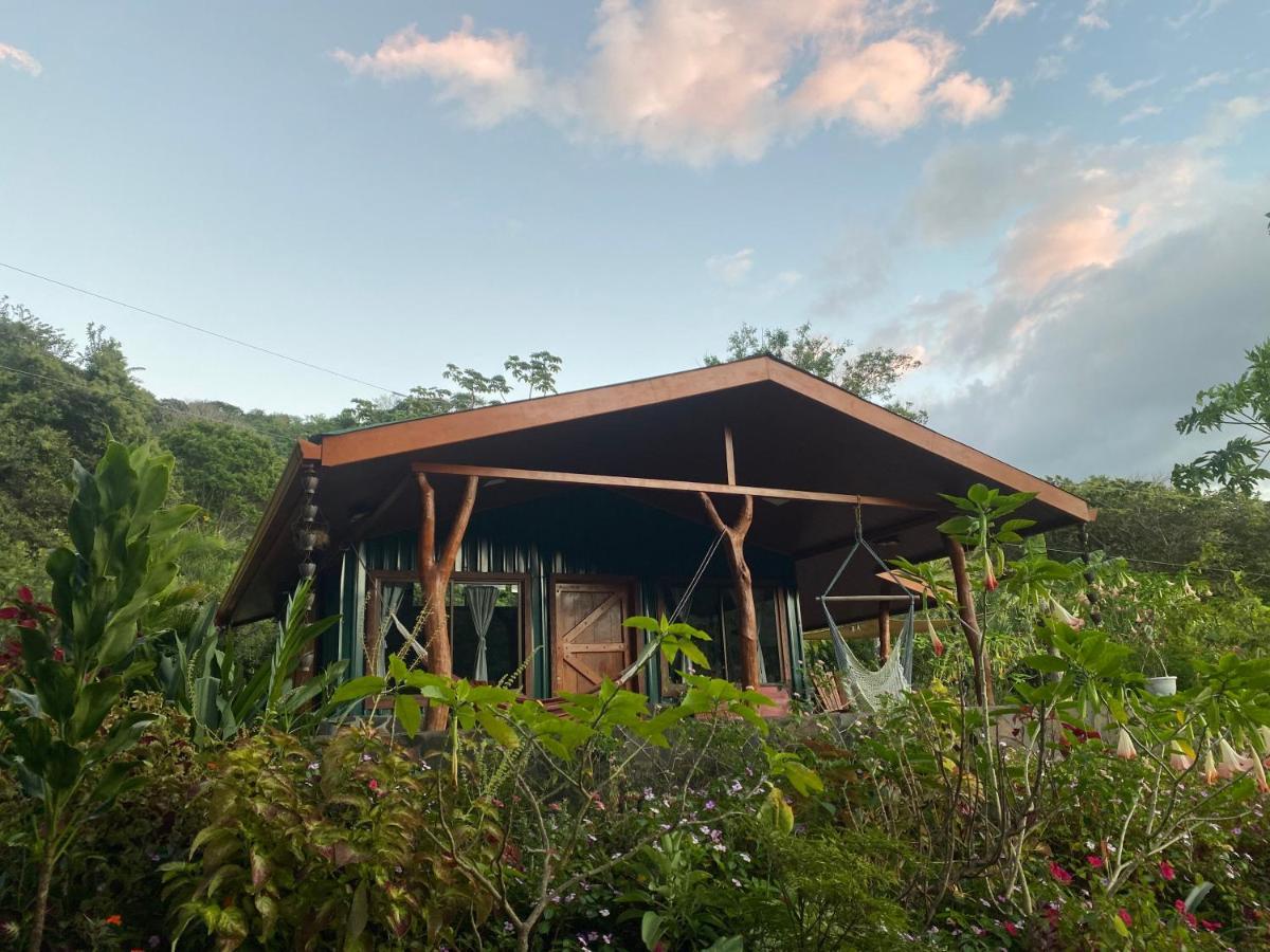ホテル Chorotega Cabina Monteverde エクステリア 写真