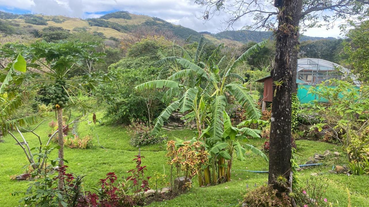 ホテル Chorotega Cabina Monteverde エクステリア 写真